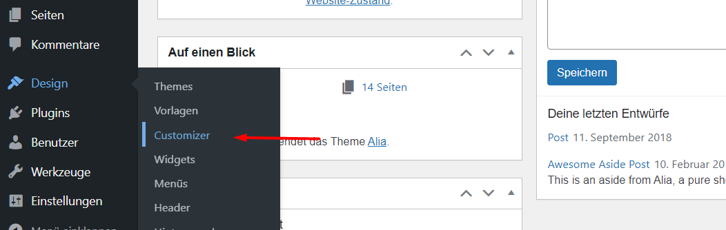 WordPress Theme deinen Wünschen anpassen